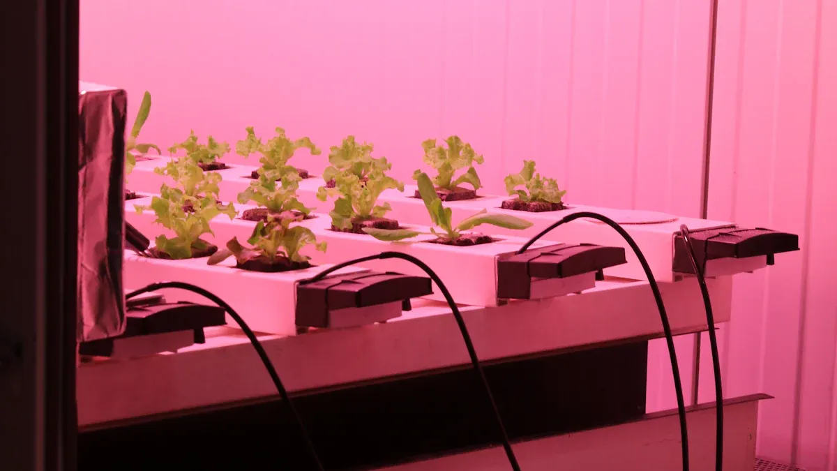 수직 성장 조명이 식물이 더 잘 자라는 데 실제로 도움이 될 수 있습니까?